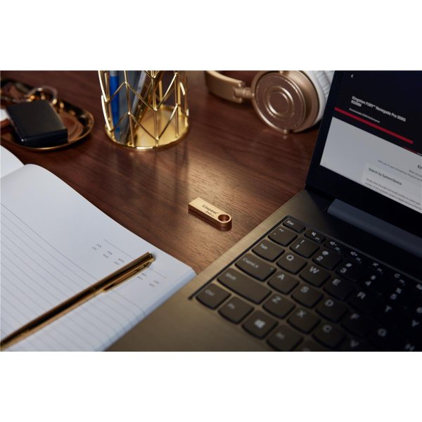 Kingston DataTraveler 512GB 220MB/s Metall-USB-Stick 3.2 Gen 1 SE9 G3, 512 GB, USB Typ-A, 3.2 Gen 1 (3.1 Gen 1), 220 MB/s, Ohne Deckel, Gold