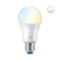 WIZCONNECTED WiZ Lampe 60W A60 E27, Intelligentes Leuchtmittel, WLAN, Weiß, E27, A60, Multi