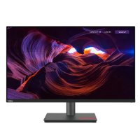 Lenovo ThinkVision P32p-30, 80 cm (31.5"), 3840 x 2160 Pixel, 4K Ultra HD, LED, 6 ms, Schwarz