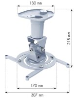 Techly ICA-PM-100WH, Zimmerdecke, 10 kg, Weiß, Aluminium, 180°, 360°