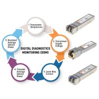 Intellinet 508759, Faseroptik, 10000 Mbit/s, SFP+, LC,...