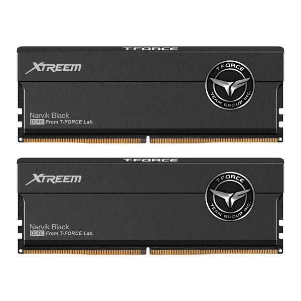 Team Group XTREEM FFXD548G8200HC38EDC01, 48 GB, 2 x 24 GB, DDR5, 8200 MHz, 288-pin DIMM