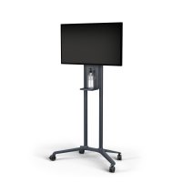 NEC Display PD04, 50 kg, 81,3 cm (32 Zoll), 190,5 cm (75 Zoll), 100 x 200 mm, 400 x 400 mm