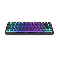 ENDORFY Thock 75%, Verkabelt & Kabellos, RF kabellos + USB, Mechanischer Switch, QWERTZ, RGB-LED, Schwarz