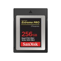 SanDisk SDCFE-256G-GN4NN, 256 GB, CFexpress, 1700 MB/s,...