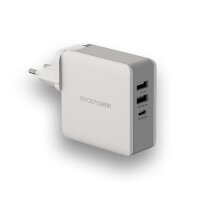 RealPower DeskCharge-65 Travel, Indoor, AC, 20 V, Grau