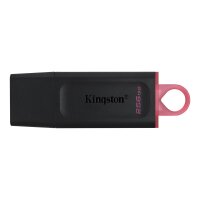 Kingston DataTraveler Exodia – USB 3.2 USB-Stick, 256 GB, USB Typ-A, 3.2 Gen 1 (3.1 Gen 1), Kappe, 11 g, Schwarz, Pink