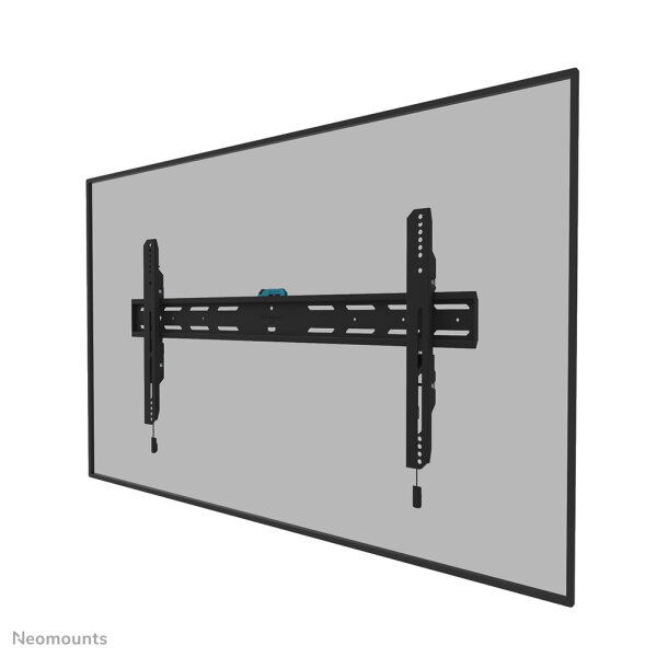 Neomounts TV-Wandhalterung, 109,2 cm (43"), 2,49 m (98"), 100 kg, 100 x 100 mm, 800 x 400 mm, Schwarz