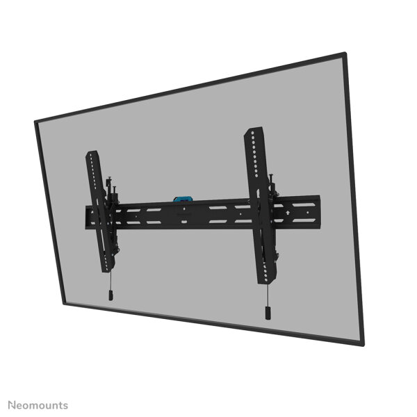 Neomounts TV-Wandhalterung, 109,2 cm (43"), 2,49 m (98"), 100 x 100 mm, 800 x 400 mm, 0 - 12°, Schwarz