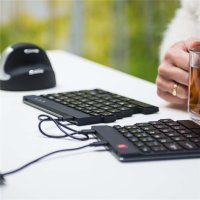 R-Go Tools Ergonomische Tastatur R-Go Split Break v2 mit Pausensoftware, geteilte Tastatur, QWERTY (US), Kabelgebunden, Schwarz, Mini, Kabelgebunden, USB, QWERTY, Schwarz