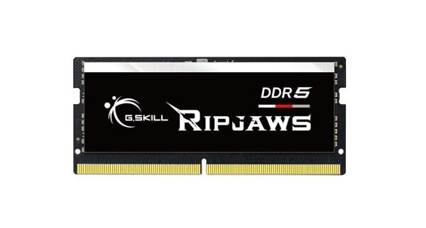 G.Skill Ripjaws F5-4800S3838A16GX1-RS, 16 GB, 1 x 16 GB, DDR5, 4800 MHz, 262-pin SO-DIMM