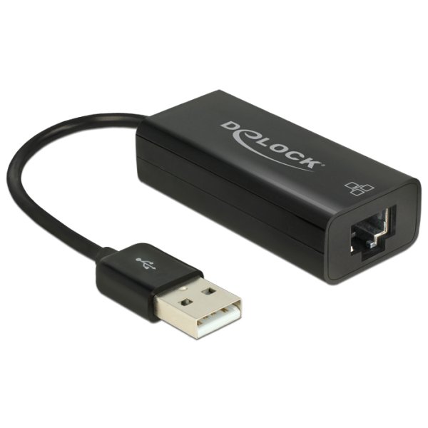 Delock 62595, Kabelgebunden, USB, Ethernet, 100 Mbit/s