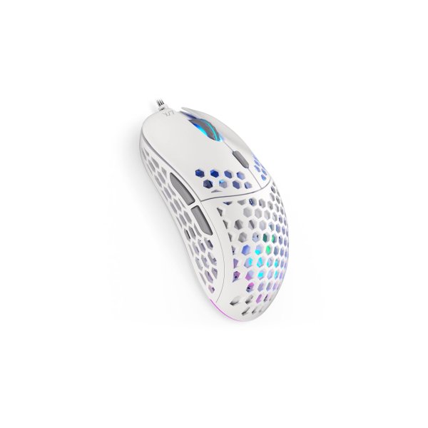 ENDORFY Mouse USB LIX OWH PMW3325, Beidhändig, Optisch, USB Typ-C, 8000 DPI, Weiß