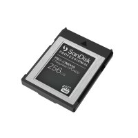 SANDISK PROFESSIONAL SanDisk PRO-CINEMA, 256 GB,...