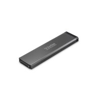 SANDISK PROFESSIONAL SanDisk PRO-BLADE, 2 TB, Edelstahl