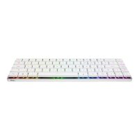 ASUS ROG FALCHION RX LP RL/RD