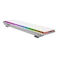 ASUS ROG FALCHION RX LP RL/RD