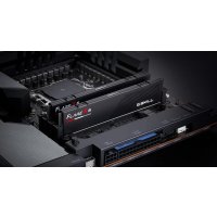 G.Skill Flare X5 F5-5600J4040D24GX2-FX5, 48 GB, 2 x 24 GB, DDR5, 5600 MHz