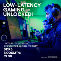 Crucial Pro Overclocking, 32 GB, 2 x 16 GB, DDR5, 6000...