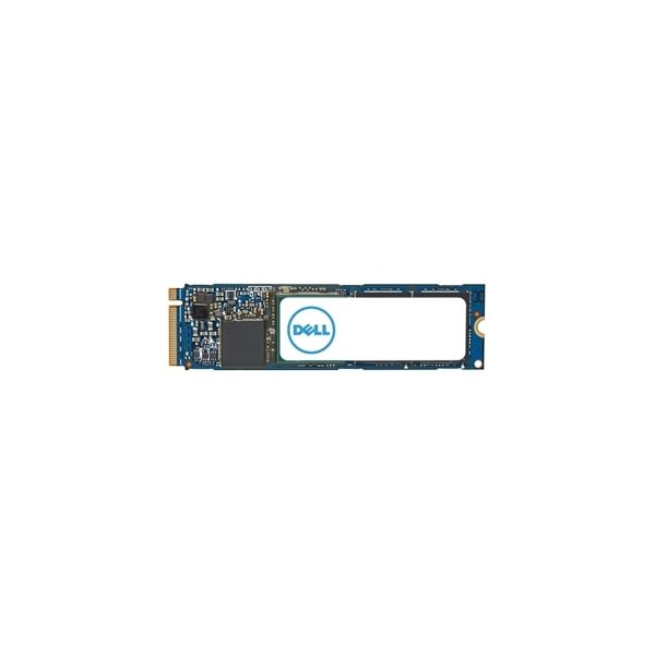 Dell AC037409, 1 TB, M.2