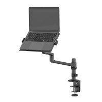 Neomounts Notebook-Tischhalterung, Laptop-Arm, Schwarz, Stahl, 29,5 cm (11.6"), 43,9 cm (17.3"), 5 kg