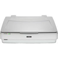 Epson Expression 13000XL, 310 x 437 mm, 2400 x 4800 DPI,...