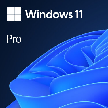 Microsoft Windows 11 Pro OEM, Erstausrüster (OEM), Englisch, 1 Lizenz(en), 64 GB, 4,1 TB, 1000 GHz