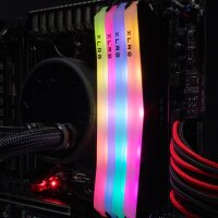 PNY XLR8 Gaming EPIC-X RGB, 32 GB, 2 x 16 GB, DDR4, 3600 MHz, 288-pin DIMM