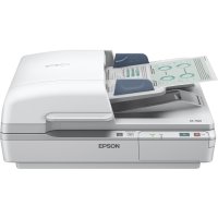 Epson WorkForce DS-6500, 215,9 x 1016 mm, 1200 x 1200...