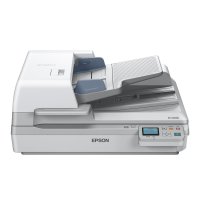 Epson WorkForce DS-60000N, 297 x 2540 mm, 600 x 600 DPI,...