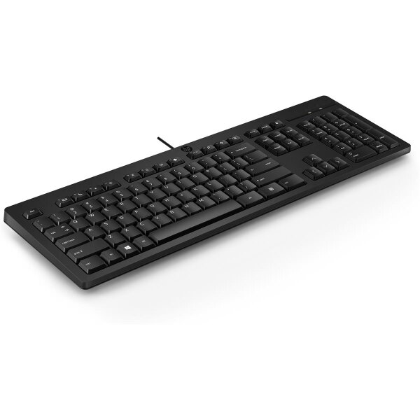 HP 125 Kabelgebundene Tastatur, Volle Größe (100%), Kabelgebunden, USB, Membran Key Switch, QWERTY, Schwarz