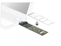 Delock 64069, PCIe, M.2, Grün, Aktivität,...