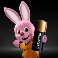 Duracell Knopfzelle MN21 Blister, Einwegbatterie, Alkali,...