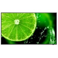 NEC Display MultiSync E658, 165,1 cm (65"), IPS,...