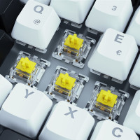 Sharkoon SKILLER SGK50 S3, Kabelgebunden, USB, Mechanischer Switch, AZERTY, RGB-LED, Weiß